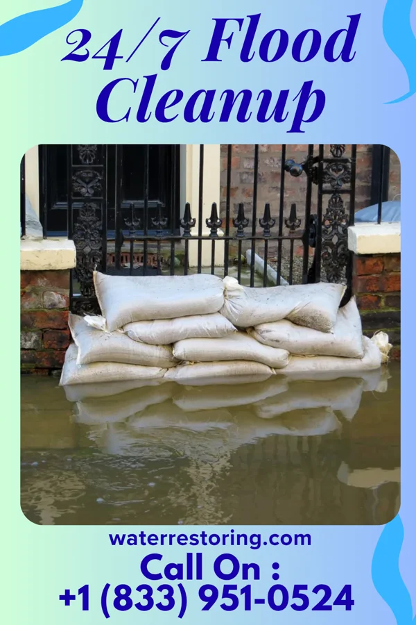 24/7 Flood Cleanup in Leonard, MI