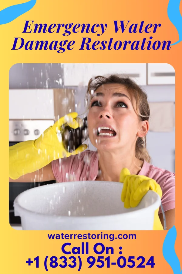 Emergency Water Damage Restoration in Leonard, MI