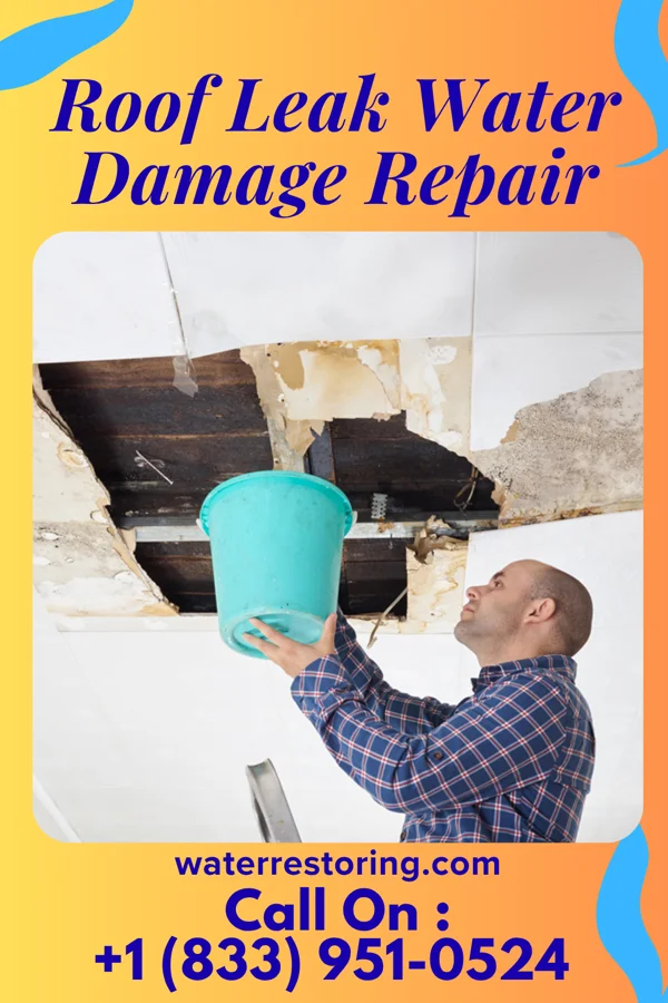 Roof Leak Water Damage Repair in Leonard, MI
