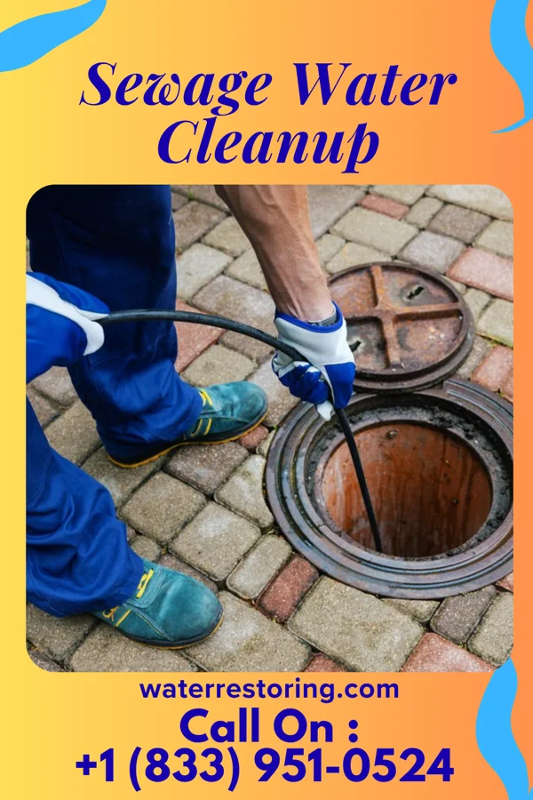 Sewage Water Cleanup in Leonard, MI