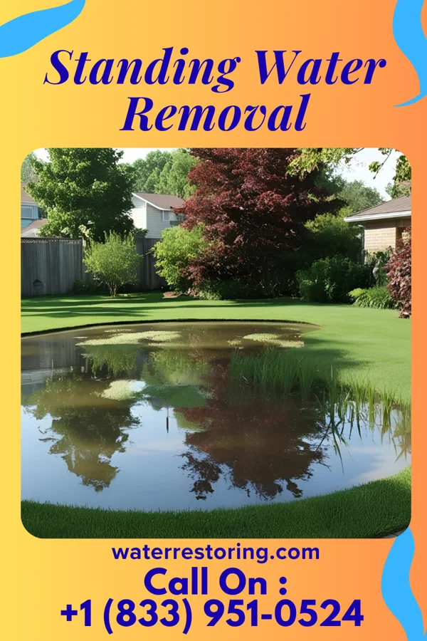 Standing Water Removal in Leonard, MI